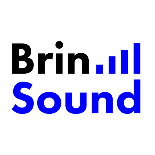 Brin Sound Logo